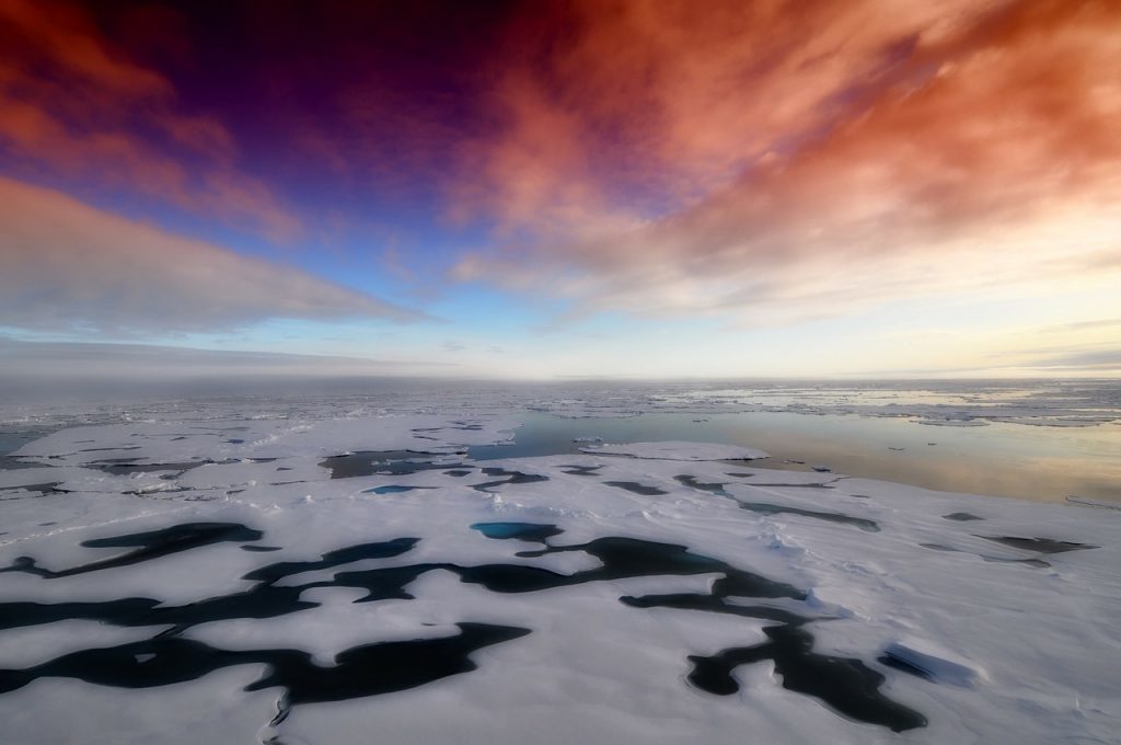 Arctic Winter Sea Ice