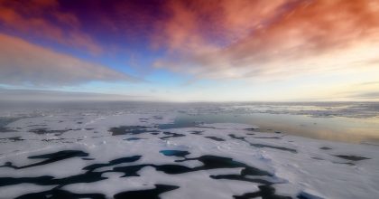 Arctic Winter Sea Ice