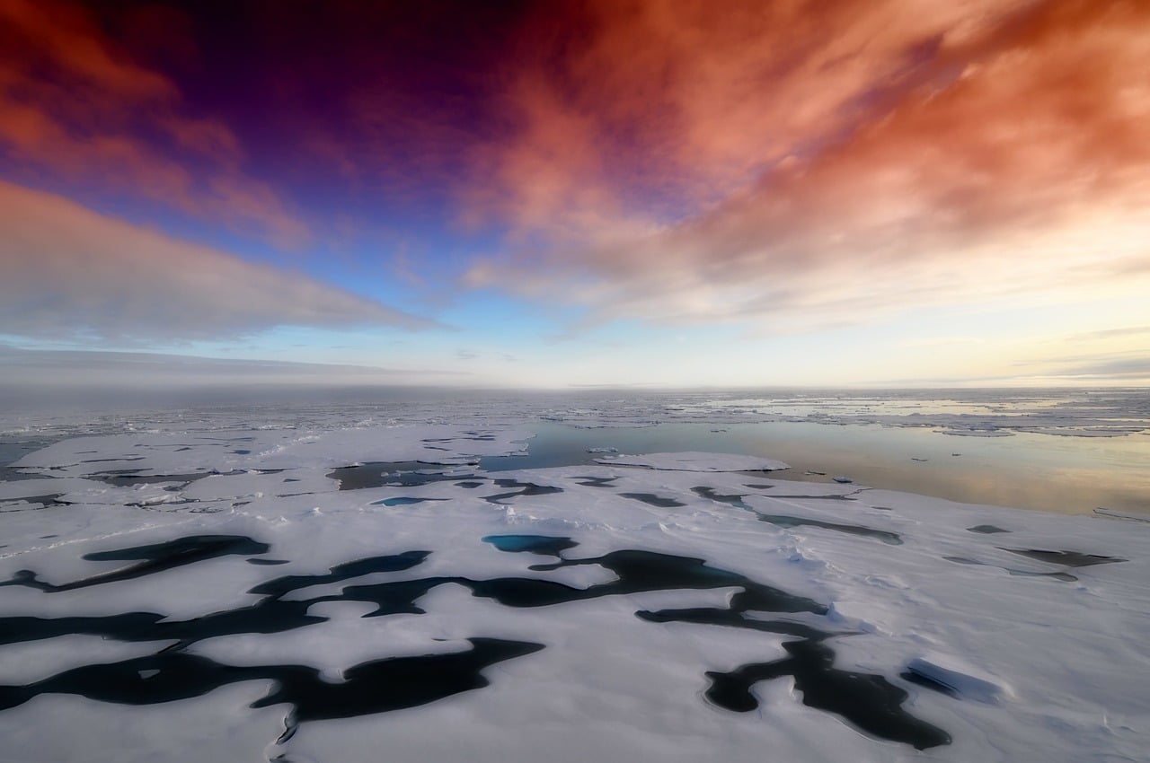 Arctic Winter Sea Ice Reaches Record Low - Climate