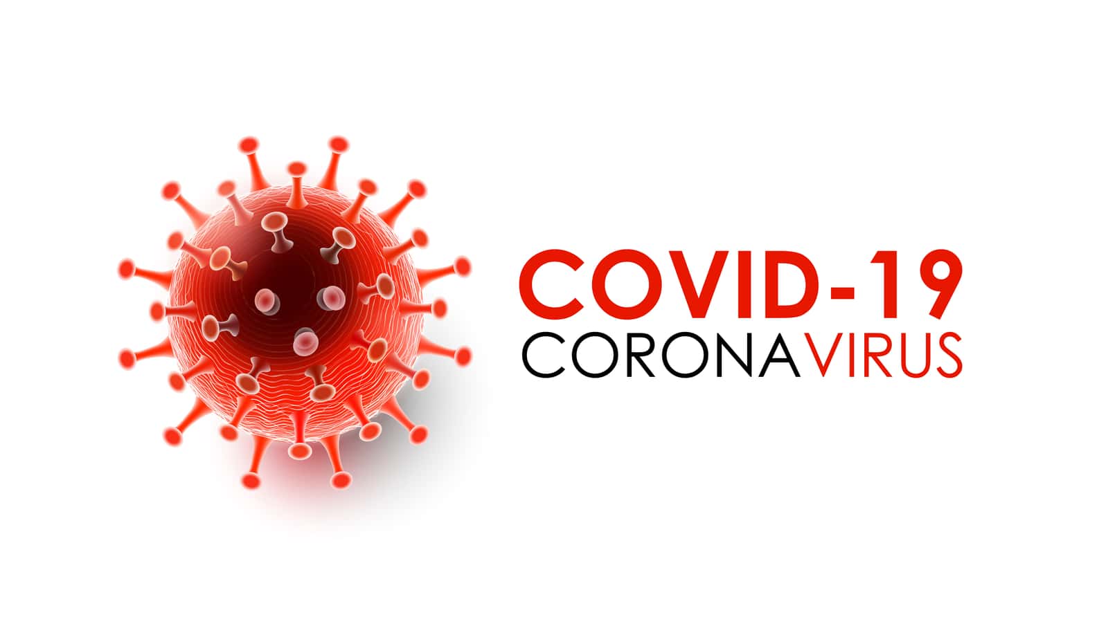 Coronavirus | Climate Nexus Polls