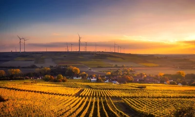 scenic view of agricultural field against sky during sunset with solar turbines in the background - Clean Energy job post for Climate Nexus