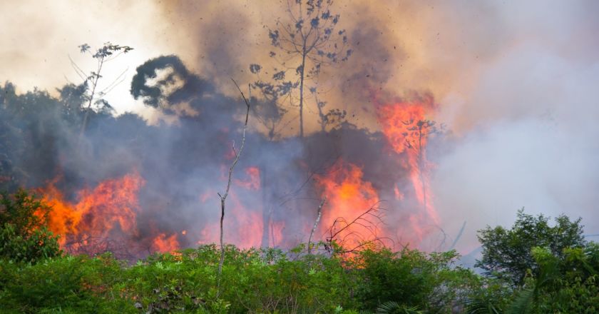 Amazon Burning Not An Oxygen Problem: 20% Figure At Least Three Times Too High