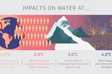 Animal Agriculture’s Impact On Climate Change | Climate Nexus